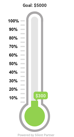 300dollars