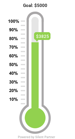 3825dollars