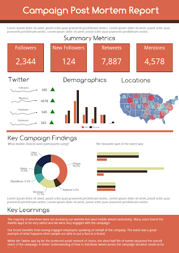 Campaign Post Morten Report Nonprofit Infographics