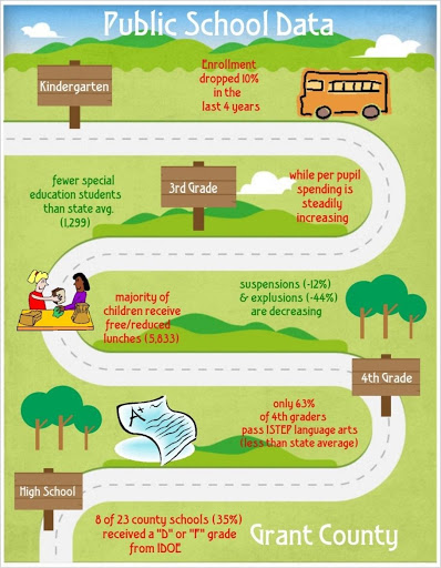 Public School Data Nonprofit Infographics