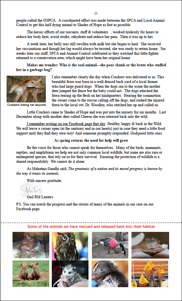 Wildlife Protection - Fundraising Letter Example with Order Form Back