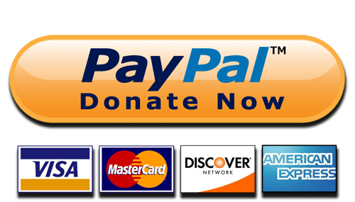 paypal-donate-button-standard