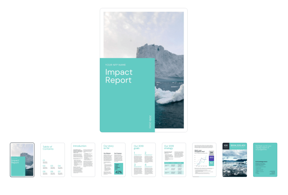 Nonprofit Annual Report Template and Examples Financial Statement