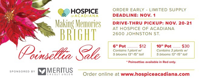 christmas-fundraising-ideas-poinsettia-sale