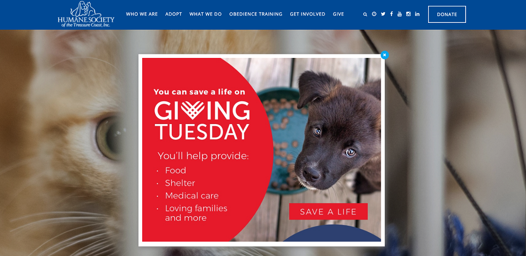 giving-tuesday-website